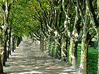 Greenwichpromenade am Tegeler See.jpg